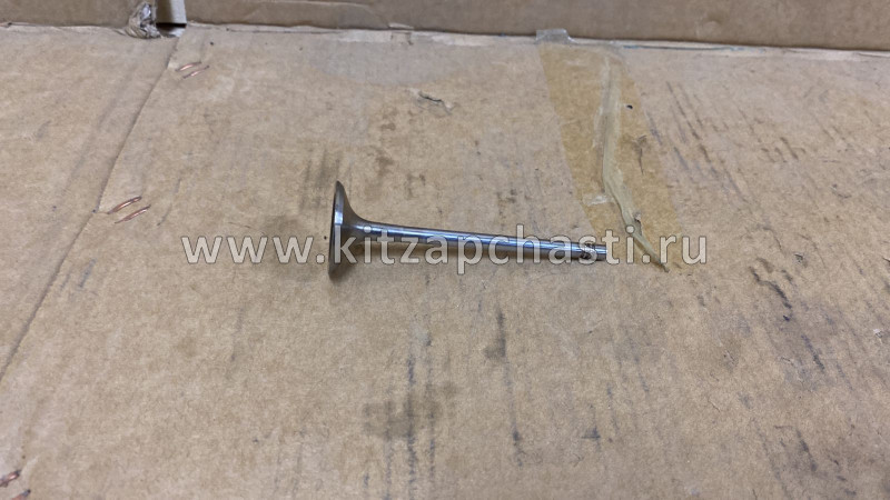 Клапан впускной HAVAL Wingle 7 1007011XEC01